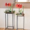 Square Nesting Plant Stands With Trays, Set Of 2