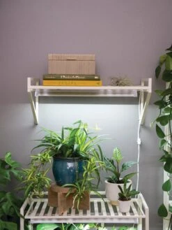 Oslo LED Grow Light Wall Shelf -Gardener's Supply Company 8611516 8400 tif