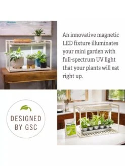 Tabletop Grow Kit -Gardener's Supply Company 8612507 4