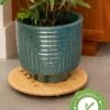 Bamboo Plant Caddy Round, 15.75" -Gardener's Supply Company 8612716 14