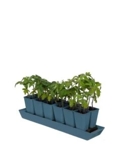 Gardener's Best® XL Seed Starting Kit -Gardener's Supply Company 8613066 0029