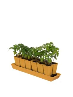 Gardener's Best® XL Seed Starting Kit -Gardener's Supply Company 8613066 1029