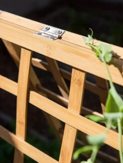 Bambo A Frame Plant Support, 30" X 42.5" -Gardener's Supply Company 8613310 6525