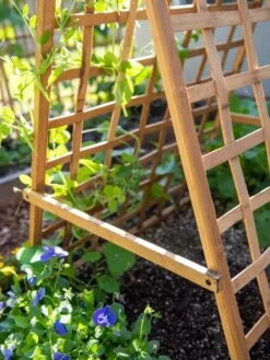 Bambo A Frame Plant Support, 30" X 42.5" -Gardener's Supply Company 8613310 6556