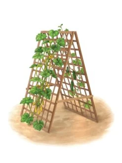 Bambo A Frame Plant Support, 30" X 42.5" -Gardener's Supply Company 8613310 art flat