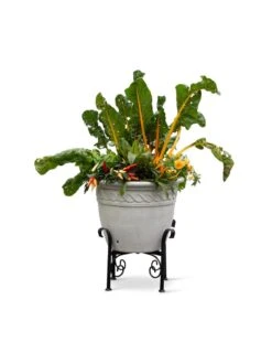 Covington Adjustable Plant Stands -Gardener's Supply Company 8613347 0119