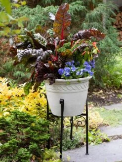 Covington Adjustable Plant Stands -Gardener's Supply Company 8613348 0114