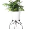 Aubrey Adjustable Plant Stand -Gardener's Supply Company 8613454 5716 aubrey adjustable plant stand