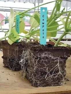 2-3/4" Square Cowpots 6-Packs, Set Of 4 -Gardener's Supply Company GS37034 05