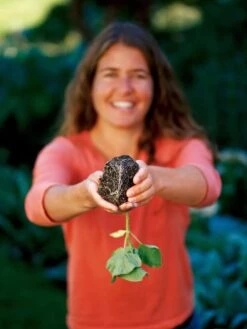 Deep Root Seedstarting System, Black -Gardener's Supply Company GSCOVSPR06D2 01