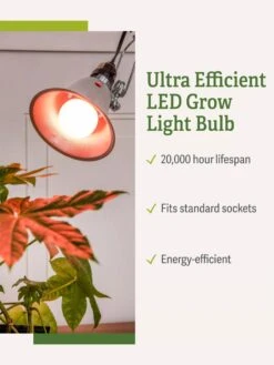 Miracle LED® Absolute Daylight™ Max Flowering Grow Light Bulb 10 Miracle LED® Absolute Daylight™ Max Flowering Grow Light Bulb -Gardener's Supply Company Miracle Daylight Bulb 1