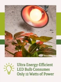 Miracle LED® Absolute Daylight™ Max Flowering Grow Light Bulb 11 Miracle LED® Absolute Daylight™ Max Flowering Grow Light Bulb -Gardener's Supply Company Miracle Daylight Bulb 2