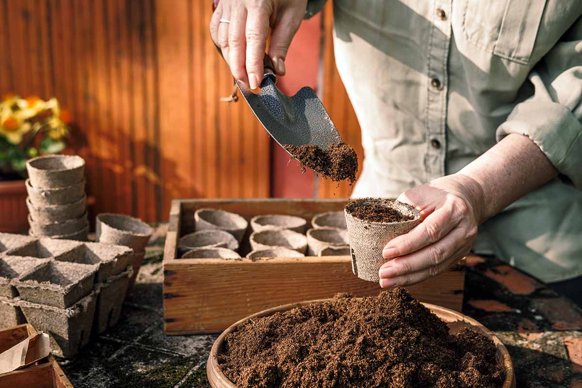 Front Page -Gardener's Supply Company 11 Supplies for Starting Seeds Feature