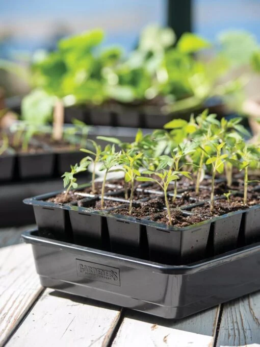 Front Page -Gardener's Supply Company 8589987 7874 tif 510x680 1