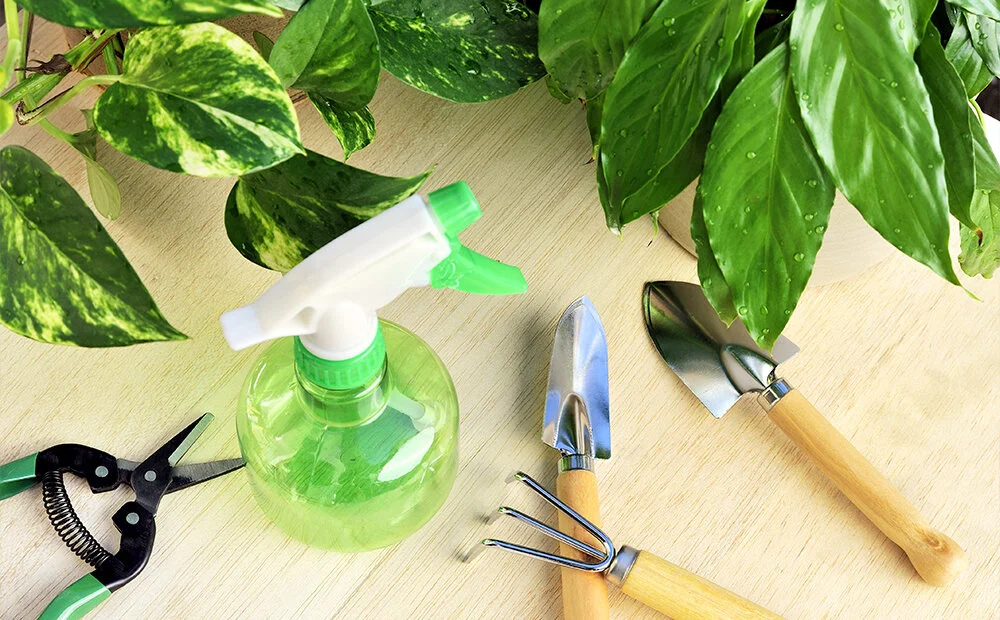 Front Page -Gardener's Supply Company february houseplant care tools spray bottle houseplant feature